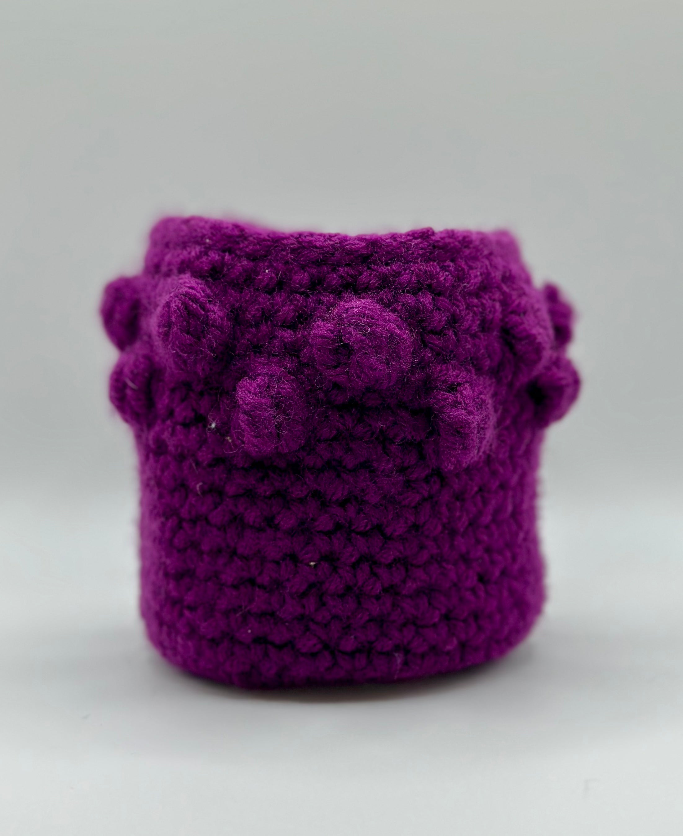 Ice Cream Koozie